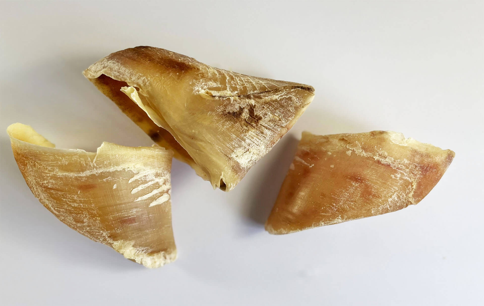 rinderhufe getrocknet kauartikel rind